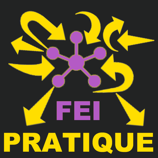 FEI Pratique